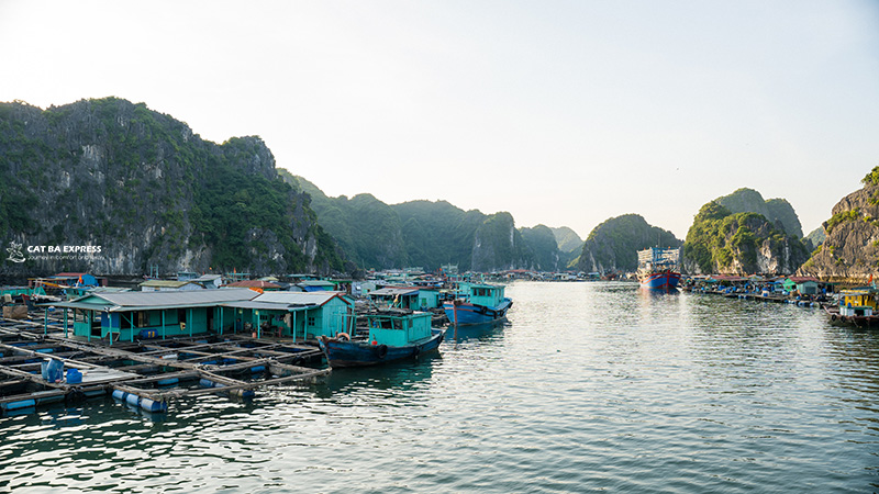 Visit Cai Beo fishing village