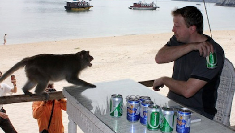 Monkey Island
