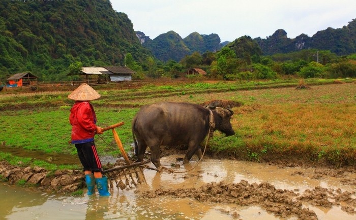 The rusty beauty of Viet Hai