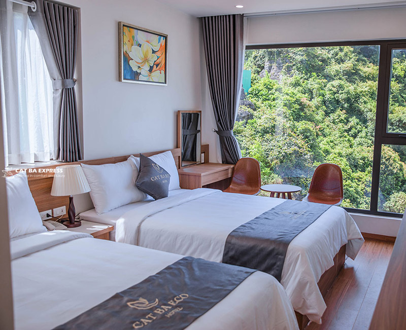 Phòng Double beds view