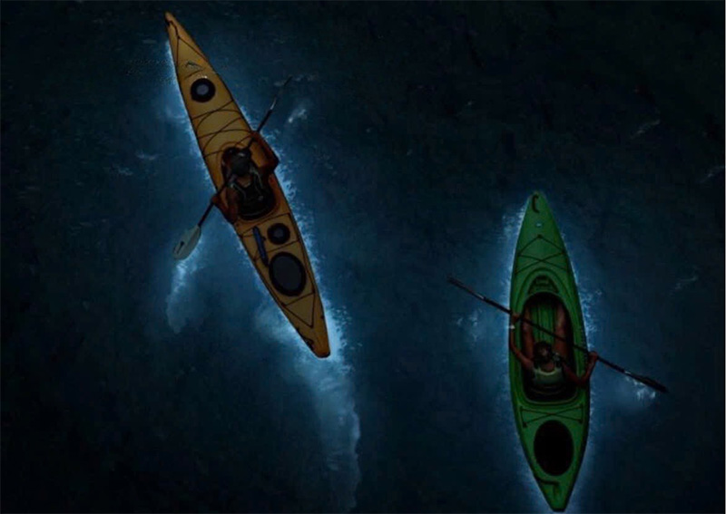 Plankton (lân tinh) Vịnh Lan Hạ Plankton (lân tinh) Vịnh Lan Hạ