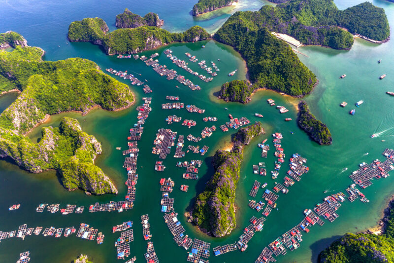 Visit floating village Lan Ha Bay Vietnam