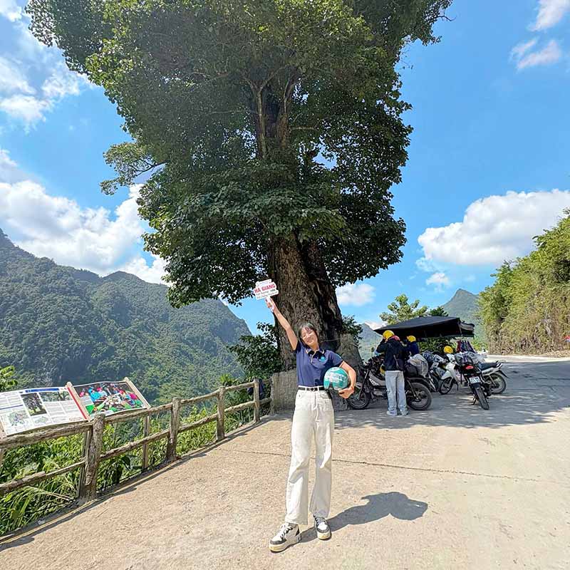 Lonely Tree - Ha Giang Lonely Tree - Ha Giang