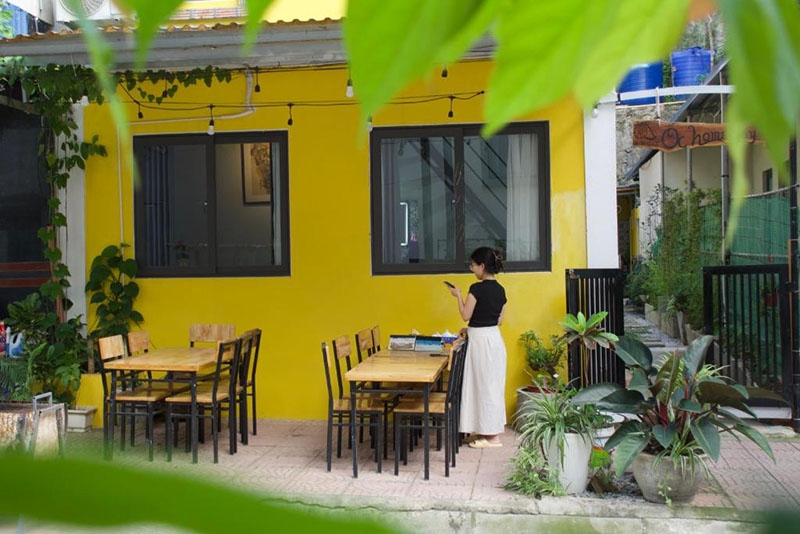 Ốc Cát Bà Homestay