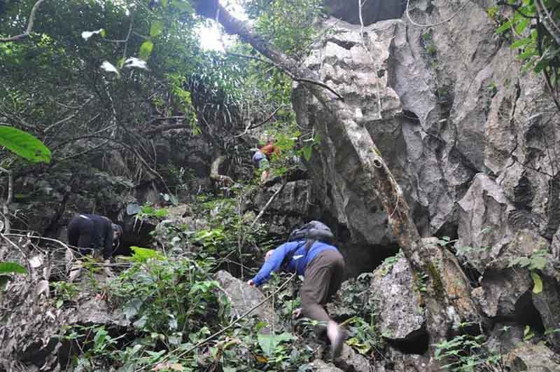 Trekking Cat Ba national park