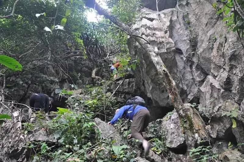 Trekking tại Vườn Quốc Gia Cát Bà Trekking tại Vườn Quốc Gia Cát Bà