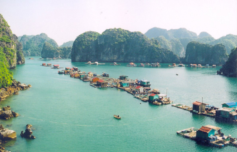 Vịnh Lan Hạ Vịnh Lan Hạ