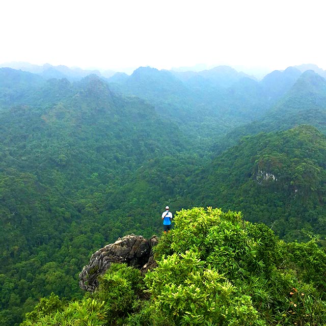 Rừng quốc gia Cát Bà