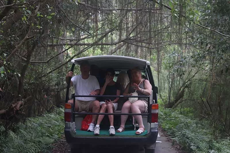 Electric car Viet Hai Village Electric car Viet Hai Village