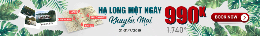 Du lich Halong 1 ngay Du lich Halong 1 ngay