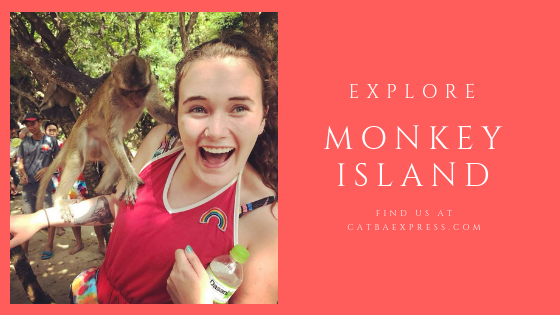 Explore Monkey Island 