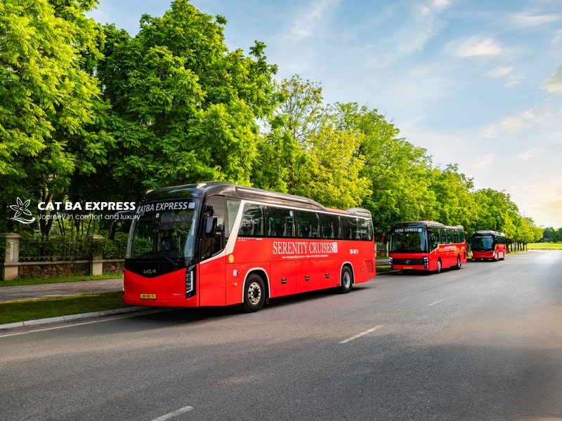 Bus Hanoi to Cat Ba (Round-trip)