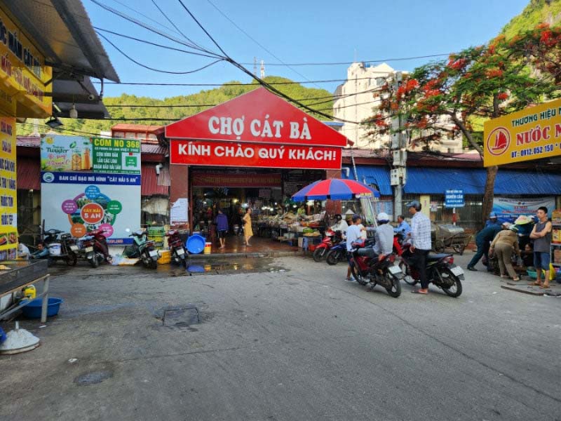 Chợ Cát Bà – Thiên đường ẩm thực và trải nghiệm địa phương