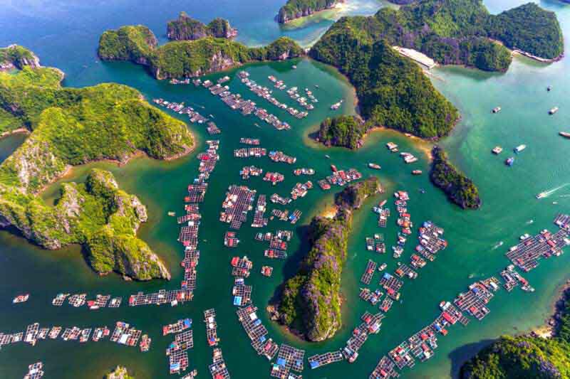 Cai Beo Fishing Village in Lan Ha Bay