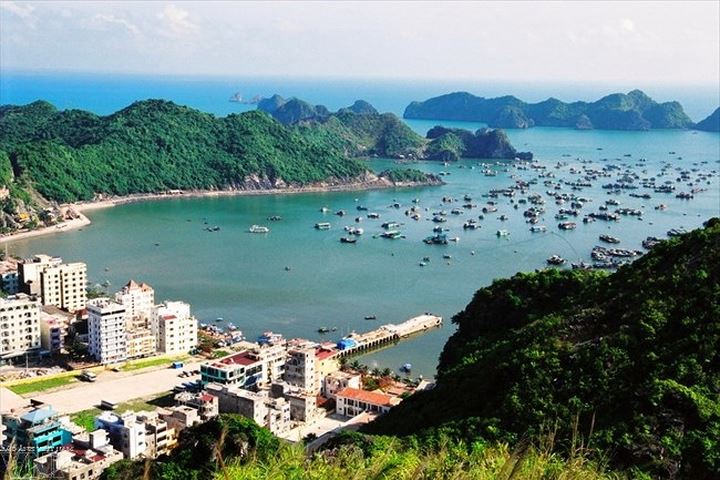 The overview of Cat Ba Town