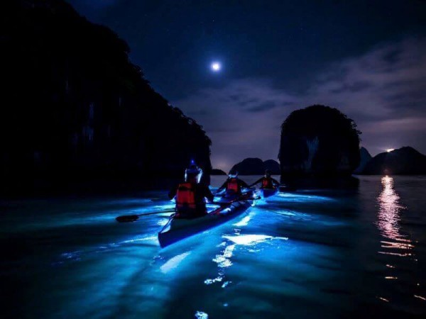Lan Ha Bay Bioluminescent Tour – Sunset & Night Kayaking Adventure with Plankton