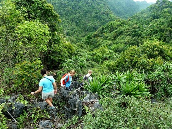 Full day Hiking Cat Ba National Park 2