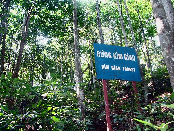 Truyền thuyết rừng Kim Giao Cát Bà